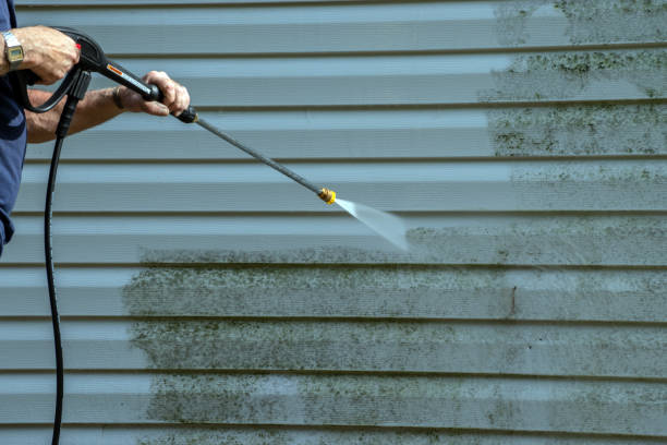 Best House Exterior Washing  in Aberdeen, IN